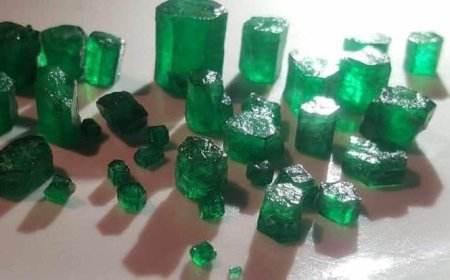 Regulamentação do Comércio de Esmeraldas Brutas no Brasil: Documentos Necessários e Procedimentos em Caso de Irregularidades